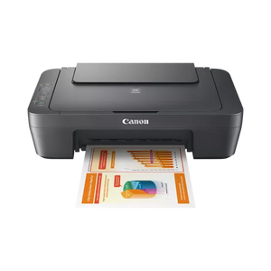Canon PIXMA MG2541S Grey
