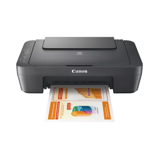Canon PIXMA MG2541S Grey